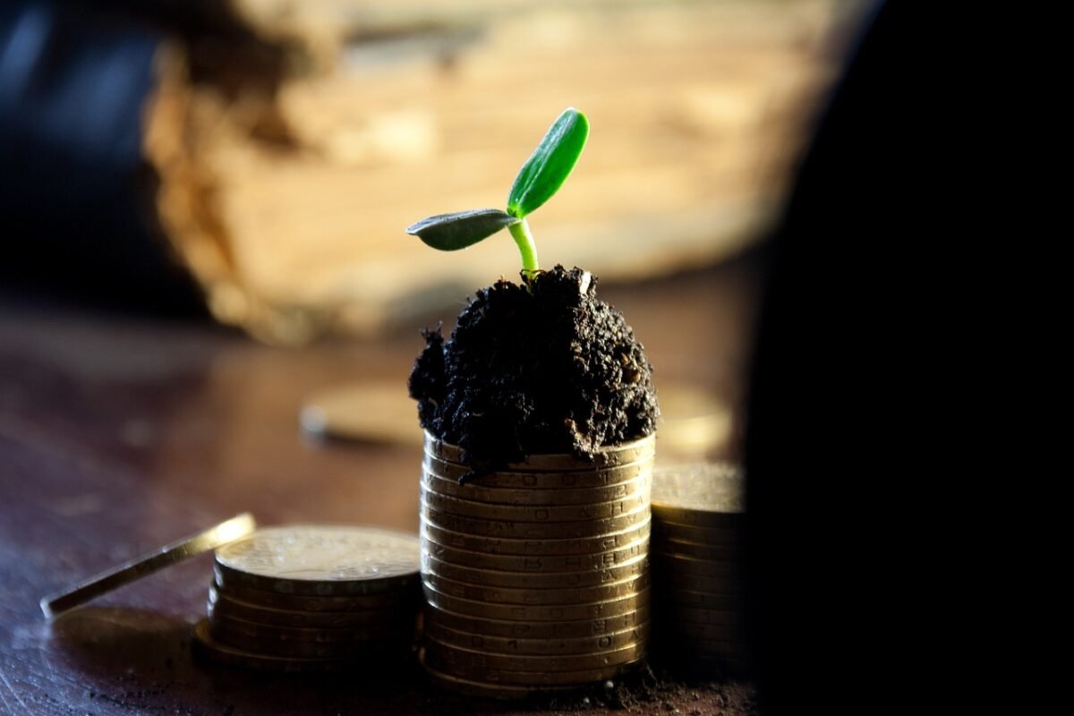 O Que é Dividendo? Como Receber Divendeo