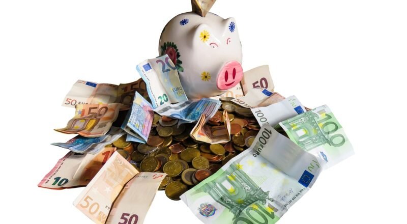 finance, money, save up, cash, capital market, currency, business, piggy bank, euro, vacations, cashbox, wishes, success, successful, profit, financial world, shopping, isolated, financing, piggy bank, piggy bank, piggy bank, piggy bank, piggy bank
